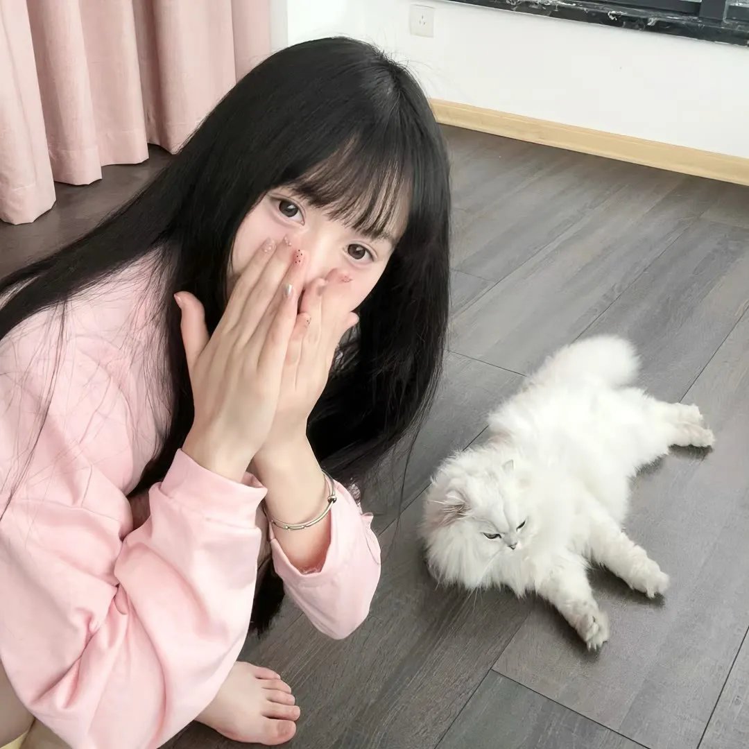 好猫咪咪海报