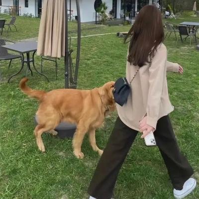 致不灭的你海报